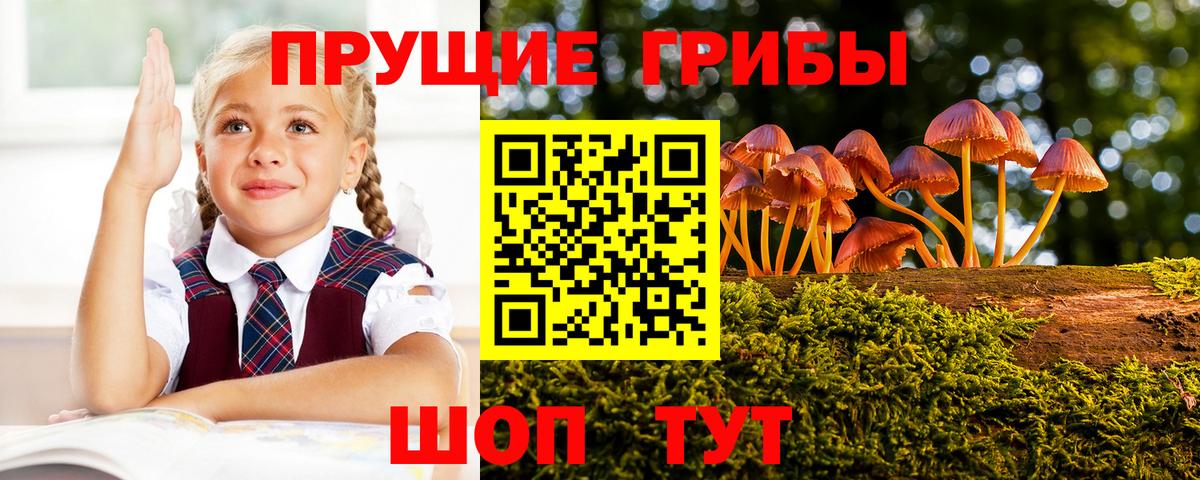 Галлюциногенные грибы Magic Shrooms  Псилоцибиновые грибы Magic Shrooms  Киржач  Вход с VPN 